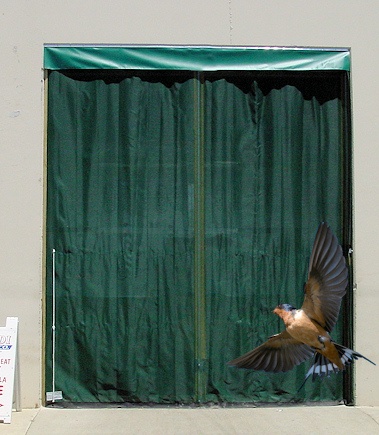 warehouse bay door screens for birds and bugs