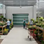“Garden center staff working around a green roll up bug door that provides airflow and pest control for the outdoor growing area.”